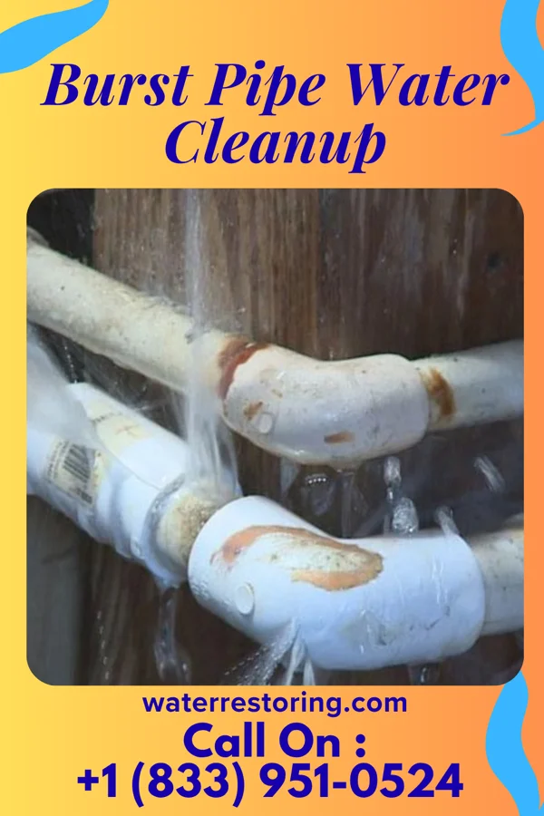 Burst Pipe Water Cleanup in McCaysville, GA